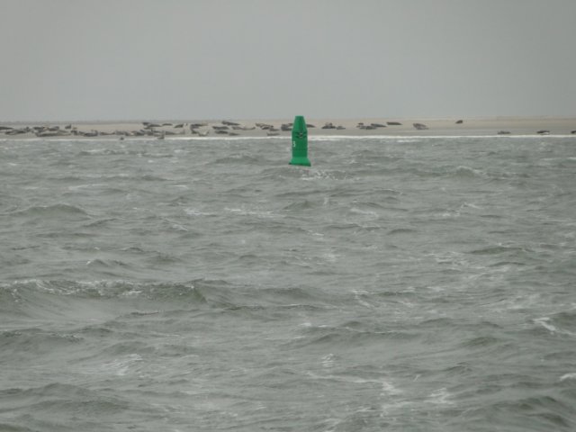 HWK Texel 212.jpg